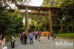 ศาลเจ้าเมจิ (Meiji Jingu)