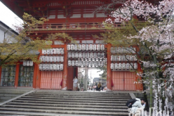 เกียวโต (Kyoto)