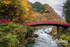 สะพานชินเคียว (Shinkyo Bridge)