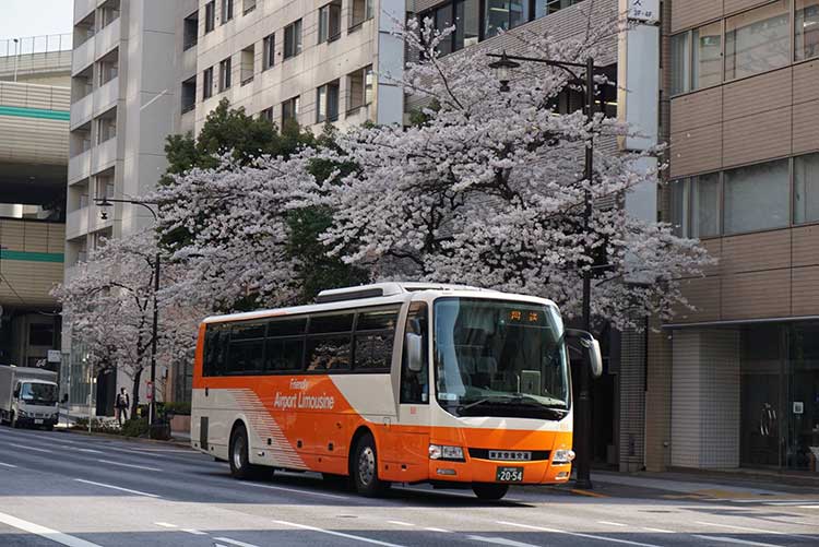 lim02