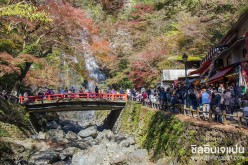 เที่ยวน้ำตกมิโน โอซาก้า ญี่ปุ่น (Minoo Waterfall ) พร้อมวิธีการเดินทาง