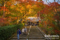 วัดเออิคันโดะ (Eikando Temple) ไฮไลท์สำคัญในการชมใบไม้แดงที่เกียวโต