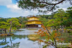 วัดคิงคะคุจิ (Kinkakuji Temple) เกียวโต