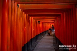 ศาลเจ้าฟูชิมิ อินาริ (Fushimi Inari) เกียวโต