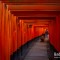 ศาลเจ้าฟูชิมิ อินาริ (Fushimi Inari) เกียวโต